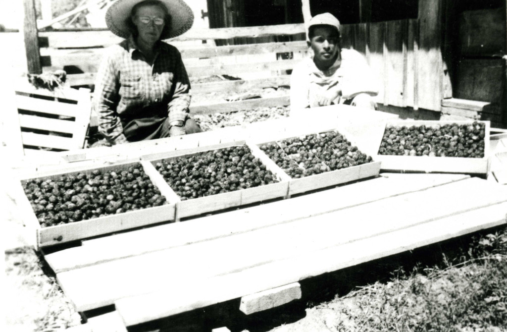 James Kenso Tanaka and an unidentified woman. Courtesy of the Japanese American National Museum, 2001.179.8.